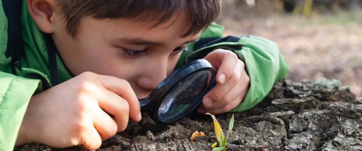 Boy looking at nature with magnifier