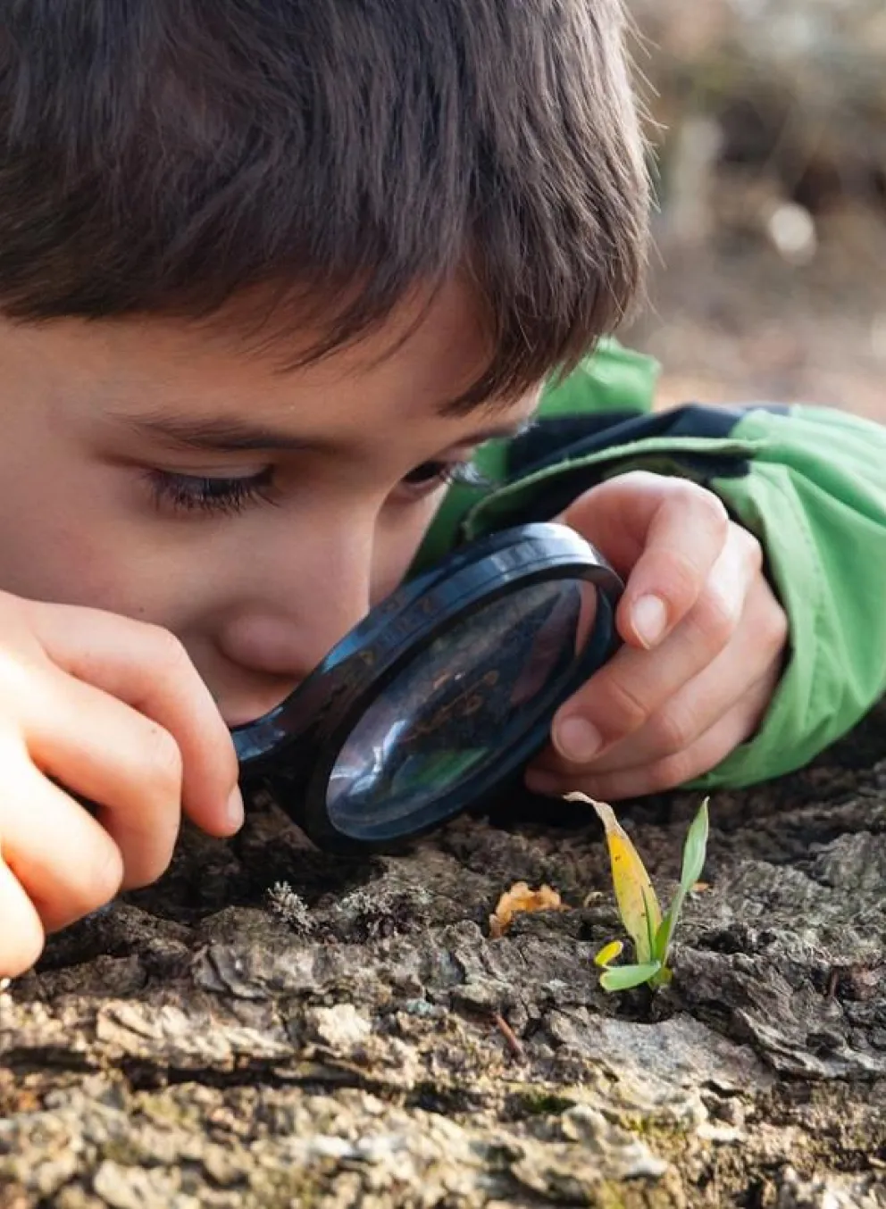 Boy looking at nature with magnifier